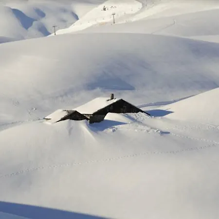 Burgi's - Adults Only