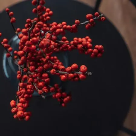 Burgi's - Adults Only 3*