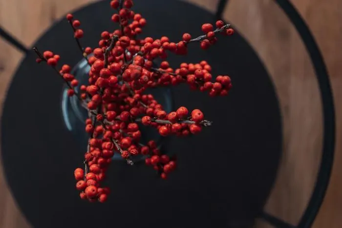 Burgi's - Adults Only 3*